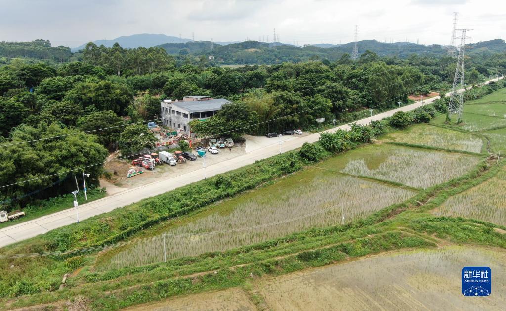 庄龙宝 闲龙宝 的规则